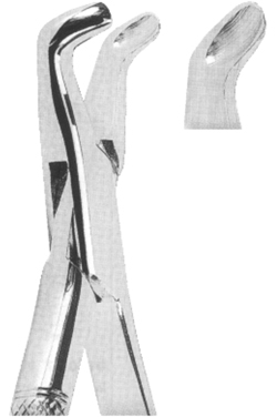 Extracting Forceps American pattern